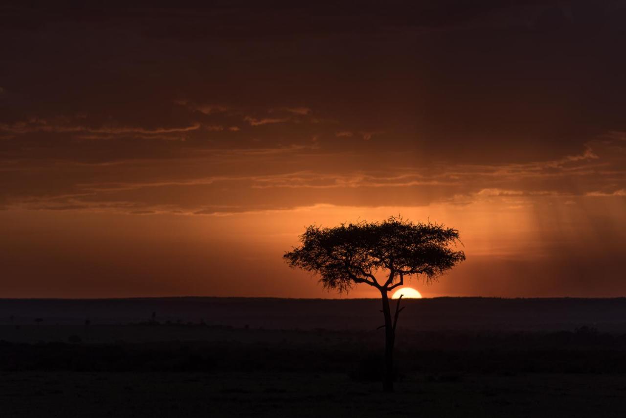 세렝게티 Africa Safari Maasai Boma 빌라 외부 사진