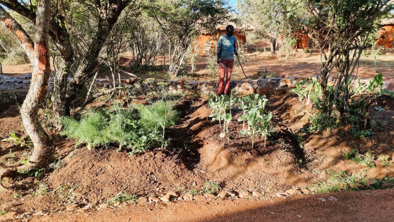 세렝게티 Africa Safari Maasai Boma 빌라 외부 사진